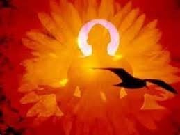 FESTA DEL SOLE 21 GIUGNO 2025